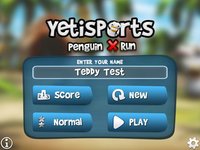 Yetisports Penguin X Run* screenshot, image №941093 - RAWG