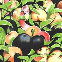 fruity 15 screenshot, image №2581893 - RAWG