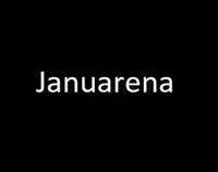 Januarena screenshot, image №1197484 - RAWG