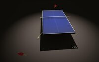 Endurance Ping Pong screenshot, image №2457877 - RAWG