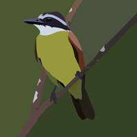 Flappy-Bem-te-vi screenshot, image №3021816 - RAWG
