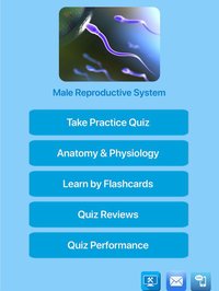 Male Reproductive System screenshot, image №1613344 - RAWG
