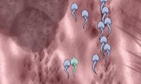 Spermicorn screenshot, image №1930059 - RAWG