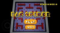 Pac Spider screenshot, image №2529579 - RAWG