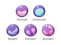 Immuno Game Learning 1.2 screenshot, image №2722015 - RAWG