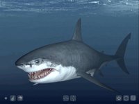 Talking Great White HD - for iPad screenshot, image №967994 - RAWG