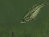 Rapala Pro Fishing screenshot, image №410200 - RAWG