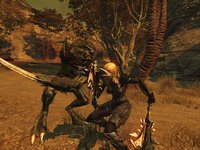Divinity 2: Ego Draconis screenshot, image №428865 - RAWG