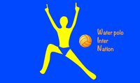 WaterPolo Inter Nation screenshot, image №2768292 - RAWG