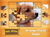 Animal Jigsaw Puzzles: puppy & cat puzzles screenshot, image №1847109 - RAWG