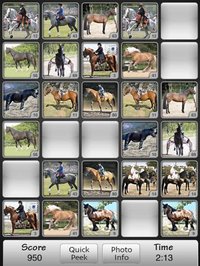 Horses Match Memory Game: Pair Up Horse Photos screenshot, image №982041 - RAWG