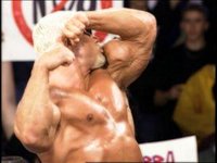 WCW Backstage Assault screenshot, image №741429 - RAWG