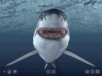 Talking Great White HD - for iPad screenshot, image №2060701 - RAWG