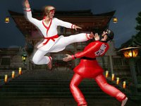Karate Fighting Art - Kung Fu Ninja Tiger actions screenshot, image №926647 - RAWG