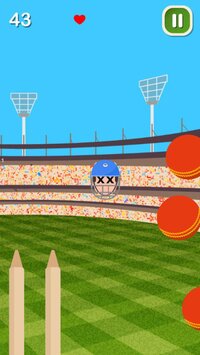 Flappy Cricket screenshot, image №3440075 - RAWG