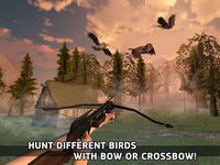 Bowman Simulator: Birds Hunting Master screenshot, image №1763686 - RAWG