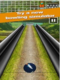 Pin Bowling Game screenshot, image №931536 - RAWG