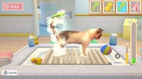 My Universe - Pet Clinic Cats and Dogs screenshot, image №2709225 - RAWG