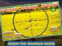 Deer Hunter - Big Buck Hunter screenshot, image №1634272 - RAWG