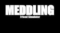 Meddling Friend Simulator screenshot, image №3019309 - RAWG