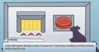 Single-Shelled Organism screenshot, image №3688029 - RAWG