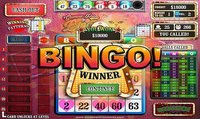 Glamour Puss Bingo FREE screenshot, image №1395473 - RAWG