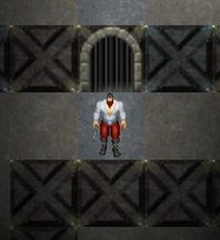 dungeon shooter (Steve) screenshot, image №1289338 - RAWG