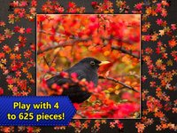 Jigsaw Puzzles Epic screenshot, image №902513 - RAWG