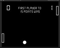 Pong with a Twist screenshot, image №2512047 - RAWG