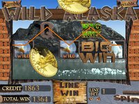 WILD ALASKA SLOT MACHINE screenshot, image №1850816 - RAWG