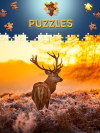 Animals Jigsaw Puzzles 2017 screenshot, image №963741 - RAWG