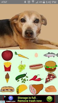 Feed the Cute Dog screenshot, image №1589682 - RAWG