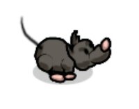 Catch the Rats!! screenshot, image №2489352 - RAWG