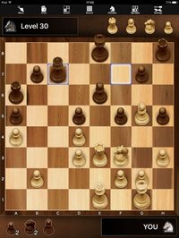 The Chess ～Crazy Bishop～ screenshot, image №946832 - RAWG