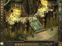 Icewind Dale: Heart of Winter screenshot, image №321009 - RAWG