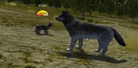 WolfQuest (itch) screenshot, image №990581 - RAWG