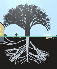 LD45 - Cultivation screenshot, image №2202227 - RAWG