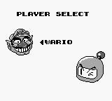 Wario Blast screenshot, image №746724 - RAWG