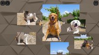 Puzzles for smart: Dogs screenshot, image №840132 - RAWG