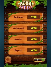 Hexa Wood Block Puzzle! screenshot, image №2036801 - RAWG