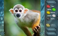 HexLogic - Zoo screenshot, image №1529541 - RAWG