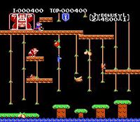 Donkey Kong Jr. screenshot, image №726884 - RAWG