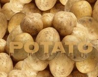 Potato Revenge screenshot, image №1298066 - RAWG
