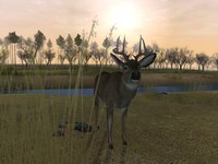 Deer Hunter 2005 screenshot, image №405107 - RAWG