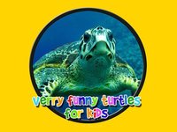 verry funny turtles for kids free screenshot, image №1866571 - RAWG