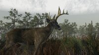 Deer Hunting Camp screenshot, image №4210153 - RAWG