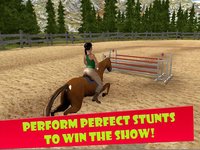 Horse Riding 3D: Show Jumping Full screenshot, image №1670867 - RAWG