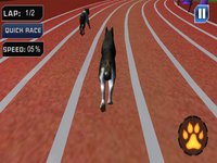 Extreme Crazy Dog Race 3D 2018 screenshot, image №1677903 - RAWG