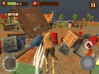 Camel Simulator screenshot, image №2143177 - RAWG