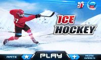 Ice Hockey 3D screenshot, image №1441571 - RAWG